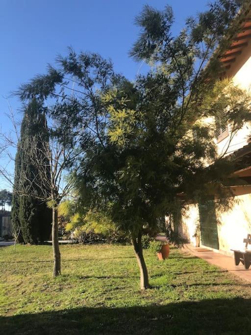Casa Isabelle Canneto (Florence) Exterior foto